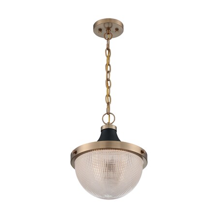 Nuvo Fixture, Pendant, 1-Light, Incandescent, 100W, 120V, A19, Medium Base, Length: 12.63 60/7060